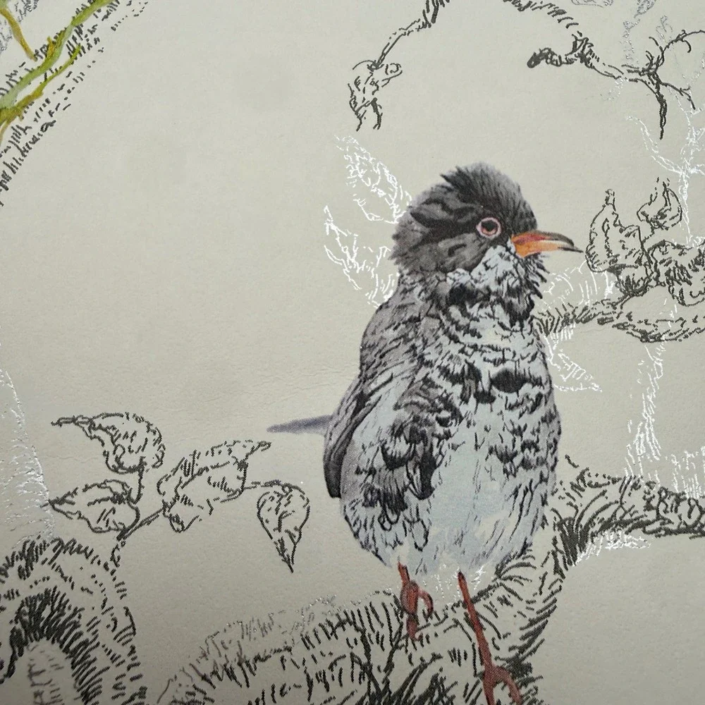 Holden Decor Statement Ornithology White/Multi Wallpaper 4 Rolls Bird Nature